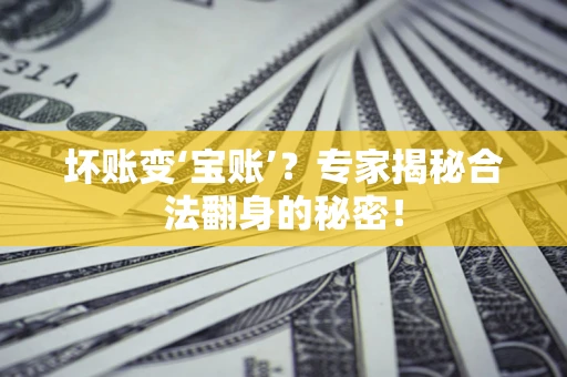 济南坏账变‘宝账’？专家揭秘合法翻身的秘密！