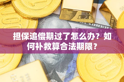 济南担保追偿期过了怎么办？如何补救算合法期限？
